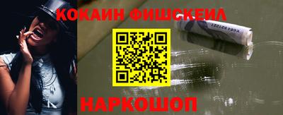 индика Можга
