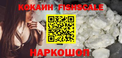 индика Можга