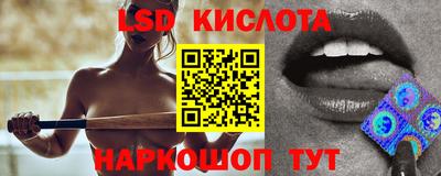 индика Можга