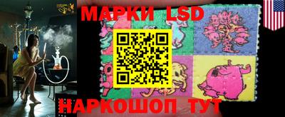 индика Можга