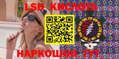 индика Можга
