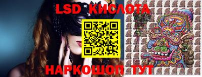 индика Можга
