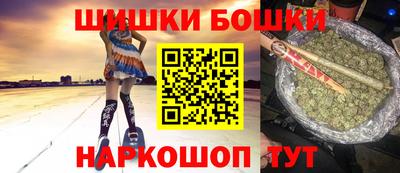 индика Можга