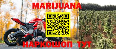 индика Можга