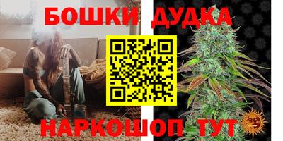 индика Можга