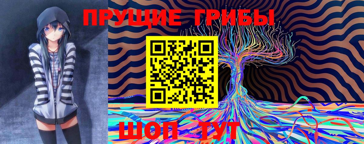 Псилоцибиновые грибы Psilocybe Юрга