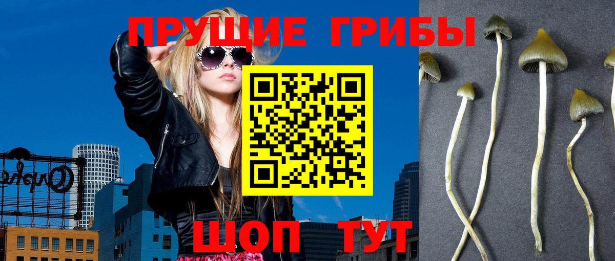 Галлюциногенные грибы MAGIC MUSHROOMS  Вход с VPN  Юрга 